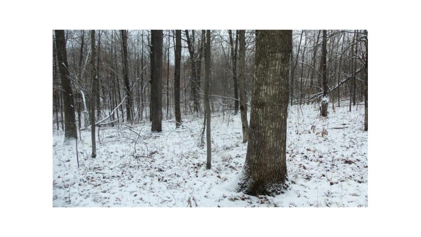 LOT 3 Blackberry Rd Trego, WI 54888 by Woods & Water Real Estate Llc $34,900