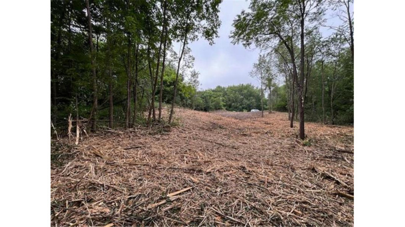 Lot 10 776th Avenue Spring Valley, WI 54767 by Westconsin Realty Llc $42,900