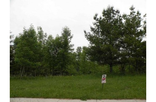 290 Moraine Drive, Ripon, WI 54971