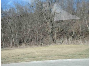 L28 Stephanie Cir Prairie Du Chien, WI 53821-0000