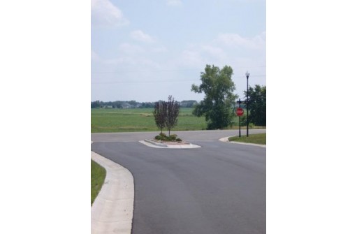 L36 Wagners Vineyard Trail, Sun Prairie, WI 53590