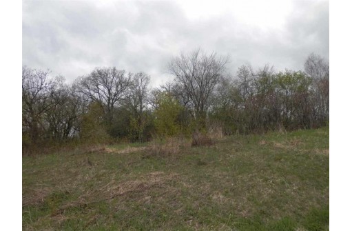 LOT 2 Spring Brook, Tomah, WI 54660