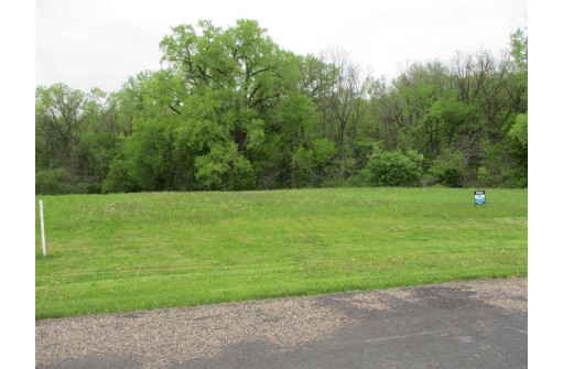 L46 Terrier Drive, Prairie Du Chien, WI 53821-0000