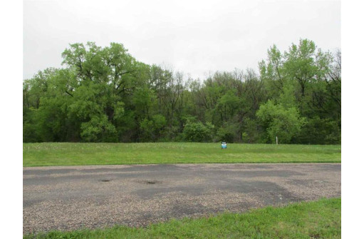 L46 Terrier Drive, Prairie Du Chien, WI 53821-0000