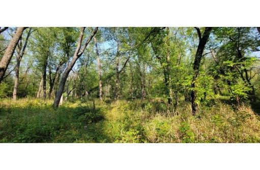 L2 St Lawrence Bluff Road, Poynette, WI 53955