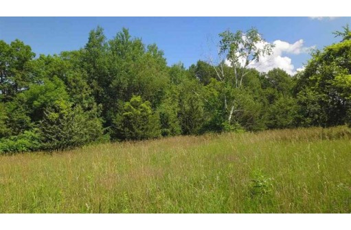 1.73AC American Heritage Road, De Soto, WI 54624