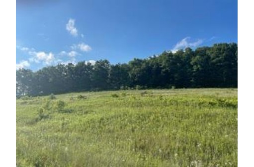 LOT 11 Pheasant Trail, Richland Center, WI 53581