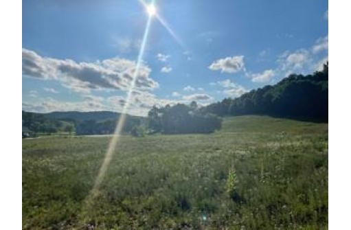 LOT 11 Pheasant Trail, Richland Center, WI 53581