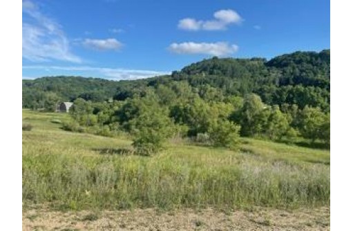 LOT 11 Pheasant Trail, Richland Center, WI 53581