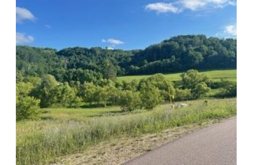 LOT 2 Pheasant Trail, Richland Center, WI 53581