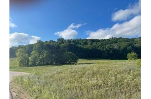 LOT 2 Pheasant Trail, Richland Center, WI 53581