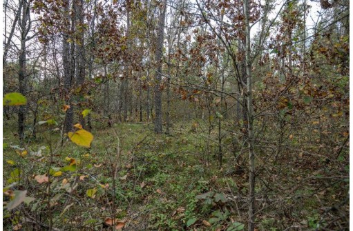 LOTS 237 & 242 Woodland Trail, New Lisbon, WI 53950