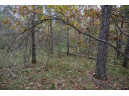 LOTS 237 & 242 Woodland Trail, New Lisbon, WI 53950