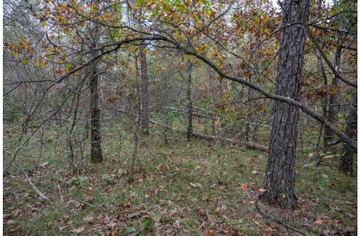 LOTS 237 & 242 Woodland Trail, New Lisbon, WI 53950