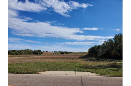 5.68 ACRES Giebel Court, Wisconsin Dells, WI 53965