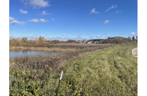 LOT 24 Wayne Drive, Belleville, WI 53508