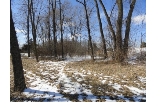 LOTS 12&13 Lintner Road, Pardeeville, WI 53954