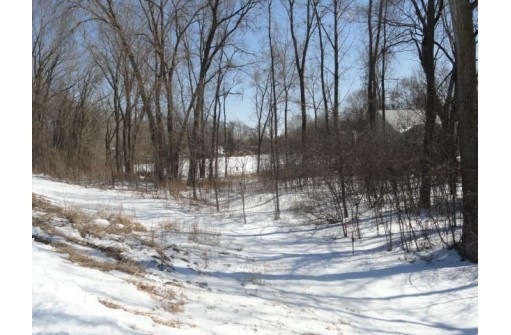 LOTS 12&13 Lintner Road, Pardeeville, WI 53954