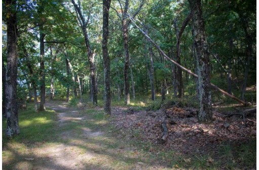 N7165 Timber Ridge Lane, Mauston, WI 53948