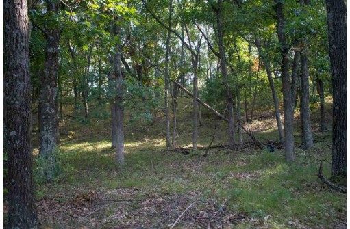 N7151 Timber Ridge Lane, Mauston, WI 53948