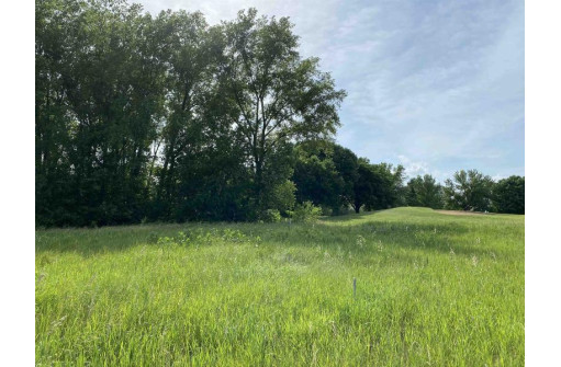 LOT 3 County Road V, Berlin, WI 54923-9460