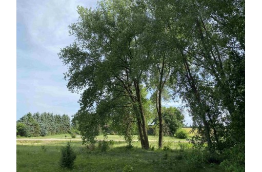 LOT 3 County Road V, Berlin, WI 54923-9460