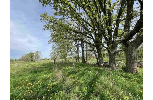 165 ACRES County Road W, Union Center, WI 53962