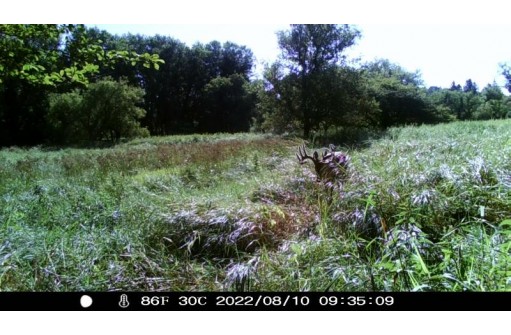 165 ACRES County Road W, Union Center, WI 53962