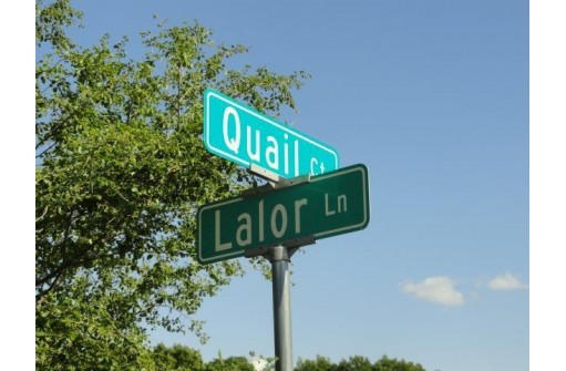 L26 Lalor Lane, Montello, WI 53949