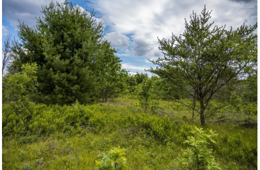 LOT 5 17th Street, Necedah, WI 54646