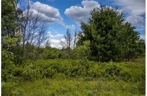 LOT 5 17th Street, Necedah, WI 54646