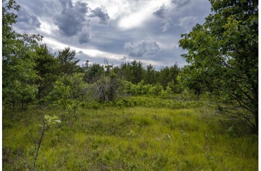 LOT 5 17th Street, Necedah, WI 54646