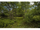 LOT 5 17th Street, Necedah, WI 54646