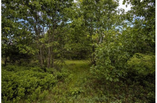 LOT 5 17th Street, Necedah, WI 54646