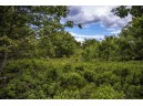 LOT 5 17th Street, Necedah, WI 54646