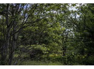 LOT 5 17th Street Necedah, WI 54646