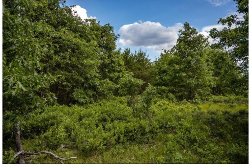 LOT 5 17th Street, Necedah, WI 54646