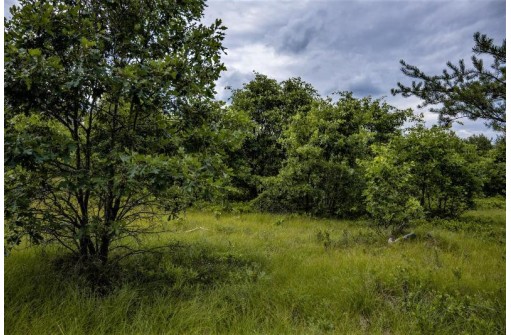 LOT 5 17th Street, Necedah, WI 54646