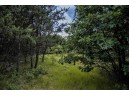 LOT 5 17th Street, Necedah, WI 54646