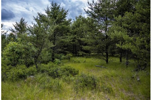 LOT 5 17th Street, Necedah, WI 54646