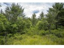 LOT 5 17th Street, Necedah, WI 54646