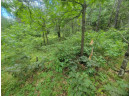 LOT 2 Highway 21, Friendship, WI 53934