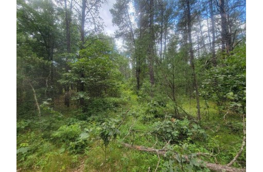 LOT 2 Highway 21, Friendship, WI 53934