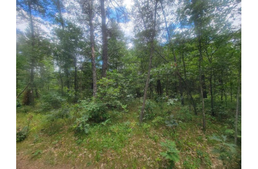 LOT 2 Highway 21, Friendship, WI 53934