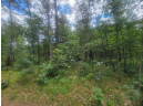 LOT 2 Highway 21, Friendship, WI 53934