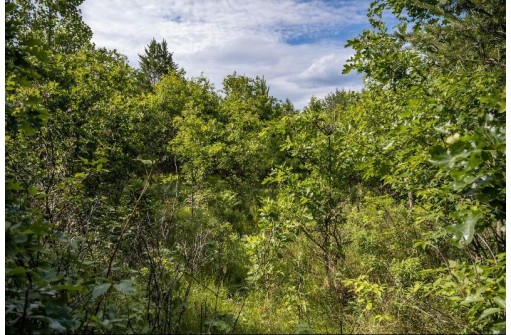 LOT 6 Highway 80, Necedah, WI 54646