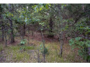 LOT 6 Highway 80, Necedah, WI 54646