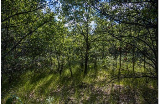 LOT 6 Highway 80, Necedah, WI 54646