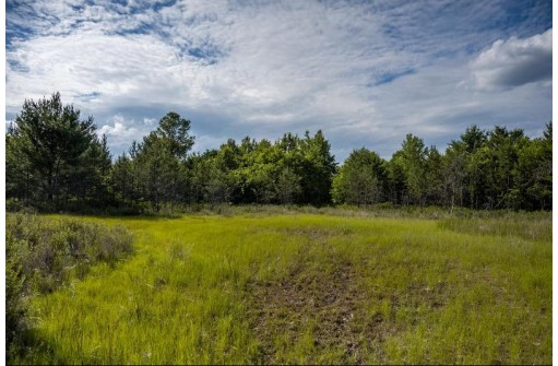 LOT 6 Highway 80, Necedah, WI 54646