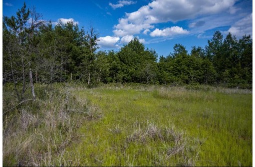 LOT 6 Highway 80, Necedah, WI 54646